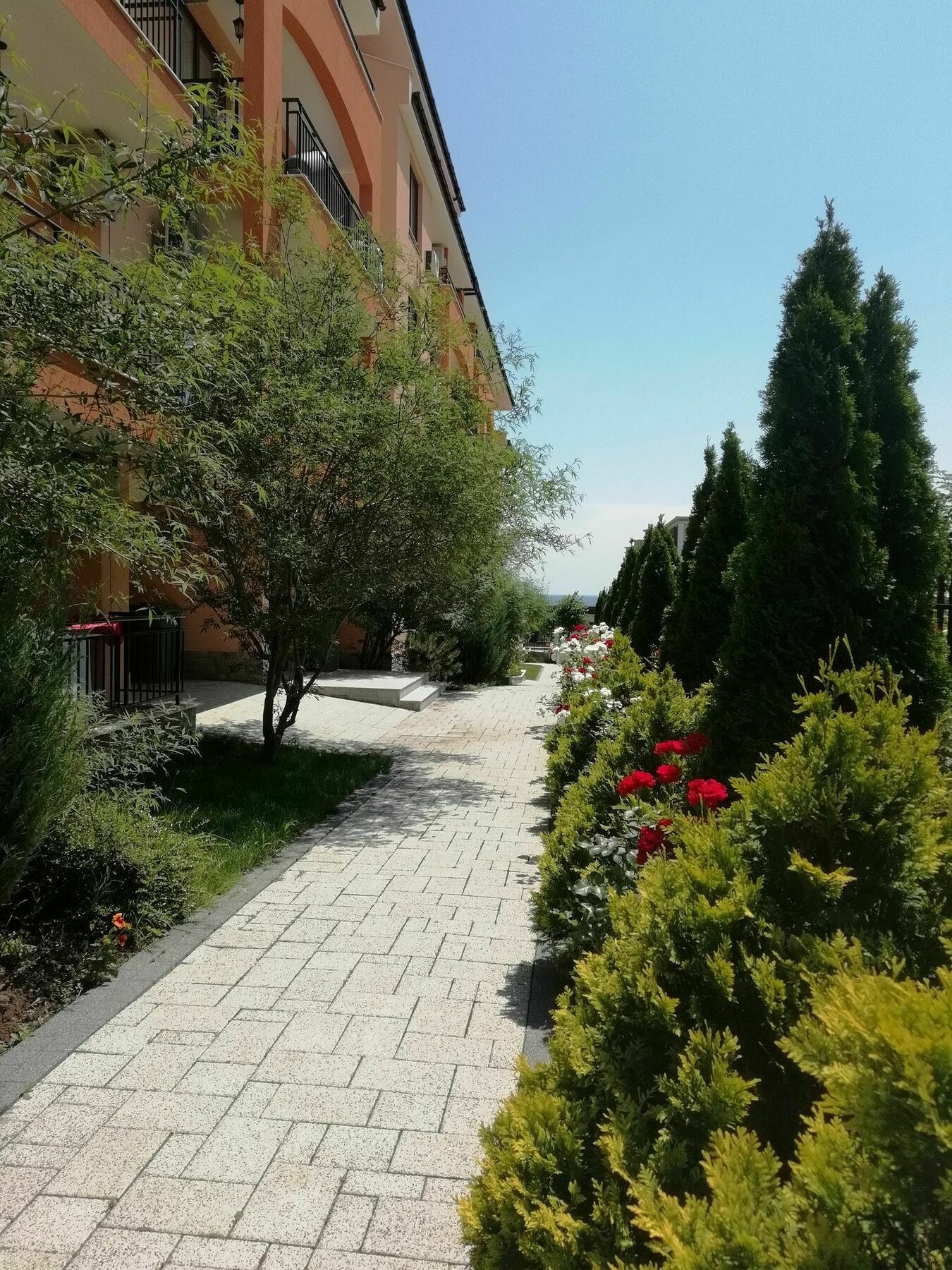 Stardreams Apartments Sveti Vlas Exterior photo